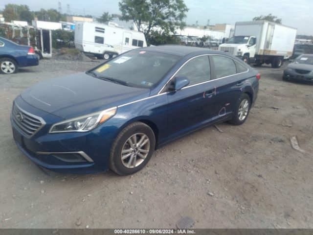 5NPE24AF0GH402589 Hyundai Sonata