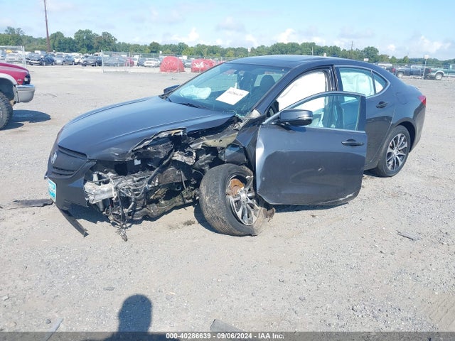 19UUB1F34FA012725 Acura TLX