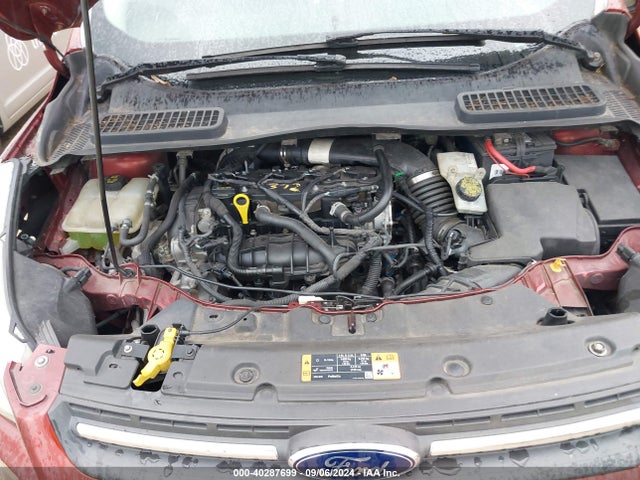 Ford ESCAPE SE 2014 1FMCU0GX2EUA49846 Image 10