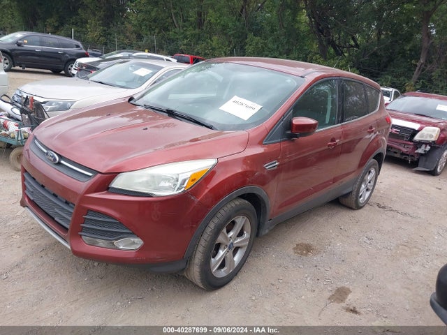 Ford ESCAPE SE 2014 1FMCU0GX2EUA49846 Image 2