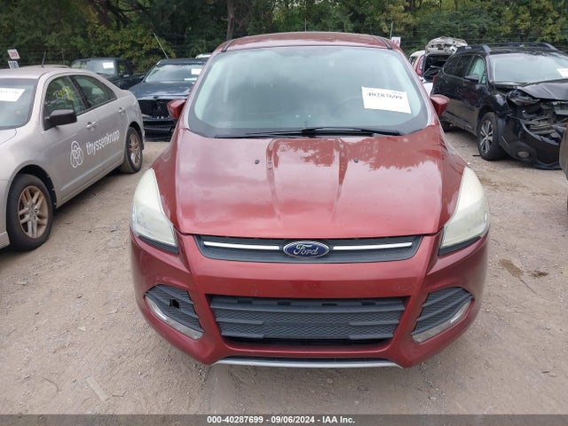Ford ESCAPE SE 2014 1FMCU0GX2EUA49846 Image 6