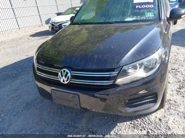 WVGRV7AX8HK016813 Volkswagen Tiguan 2.0t Wolfsburg Edition