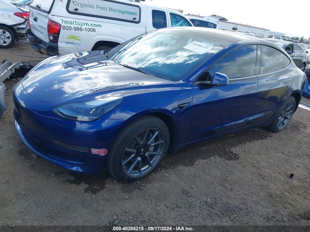 2023 TESLA MODEL 3 5YJ3E1EA5PF559724 Photo 1