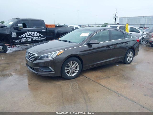 5NPE24AF1HH563566 Hyundai Sonata