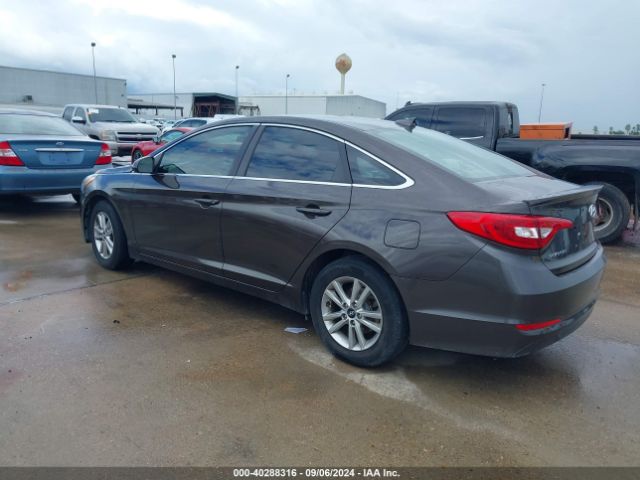 5NPE24AF1HH563566 Hyundai Sonata