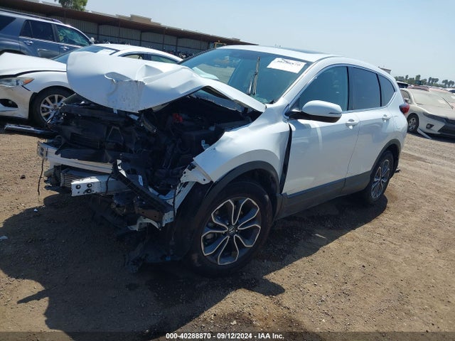 Honda Cr-v Awd Ex 2020 5J6RW2H56LA000255 Image 2