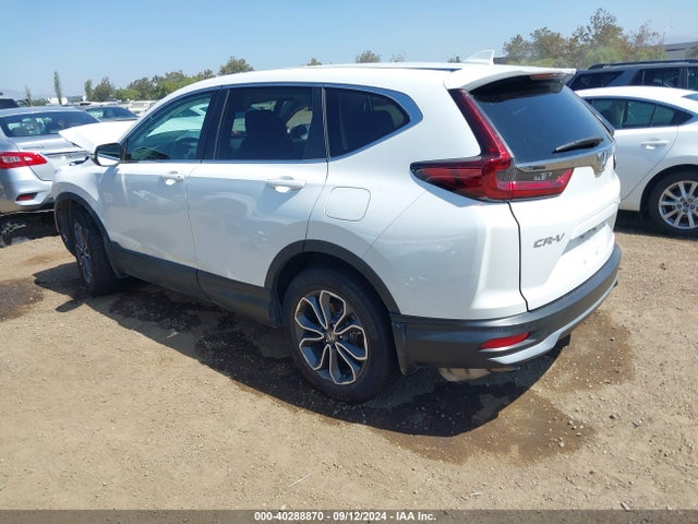 Honda Cr-v Awd Ex 2020 5J6RW2H56LA000255 Image 3