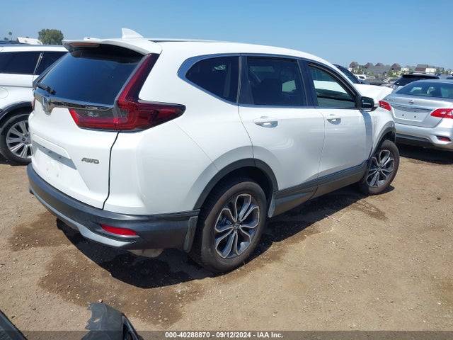 Honda Cr-v Awd Ex 2020 5J6RW2H56LA000255 Image 4