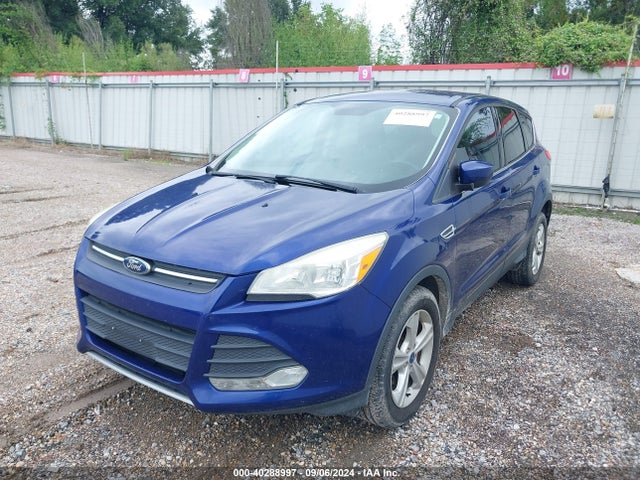 Ford ESCAPE SE 2014 1FMCU0GX5EUA35083 Image 6
