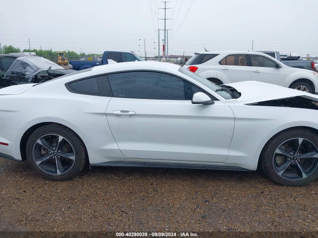 Ford Mustang Ecoboost Fastback 2022 1FA6P8TH9N5141347 Image 13