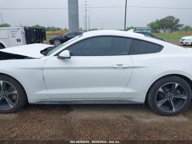 Ford Mustang Ecoboost Fastback 2022 1FA6P8TH9N5141347 Image 14