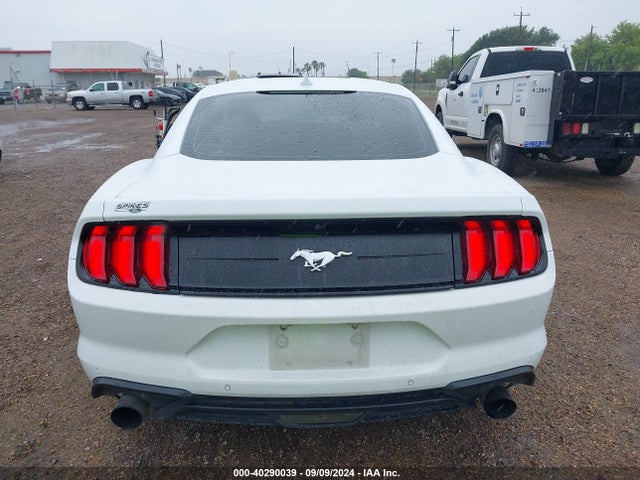 Ford Mustang Ecoboost Fastback 2022 1FA6P8TH9N5141347 Image 16