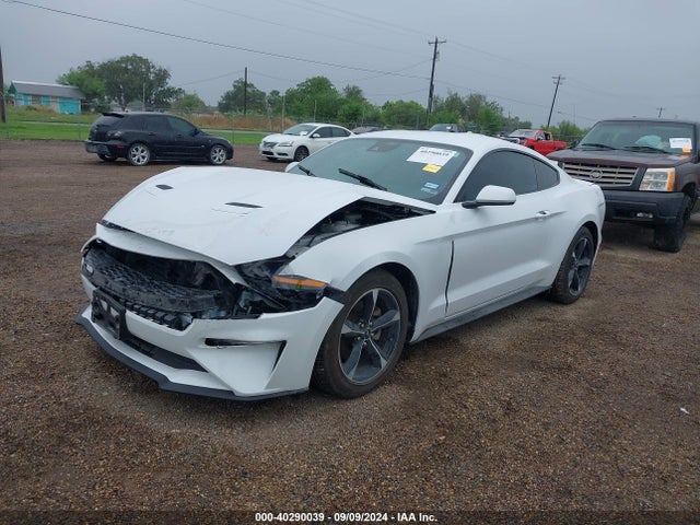 Ford Mustang Ecoboost Fastback 2022 1FA6P8TH9N5141347 Image 2
