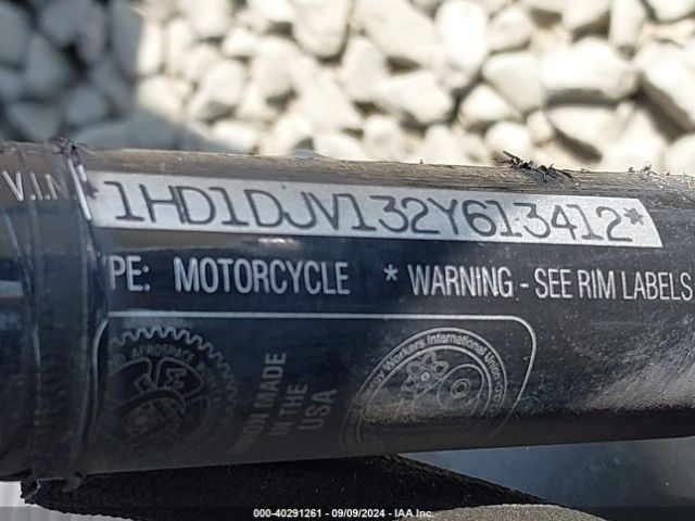 2002 HARLEY-DAVIDSON FLHT 1HD1DJV132Y613412 Photo 9
