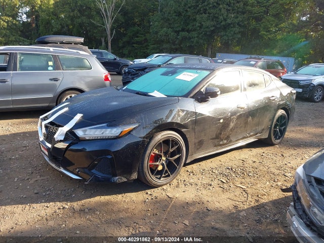 Nissan Maxima Sv Xtronic Cvt 2021 1N4AA6CV3MC507660 Image 2