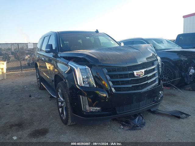 2019 1GYS3BKJ6KR398261 главное изображение