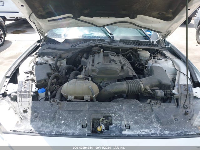 Ford Mustang Ecoboost Fastback 2020 1FA6P8TH4L5171501 Image 10