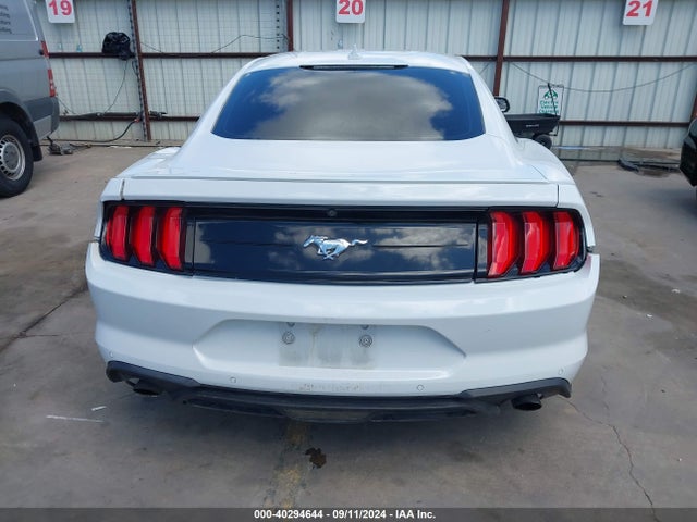 Ford Mustang Ecoboost Fastback 2020 1FA6P8TH4L5171501 Image 16