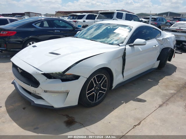 Ford Mustang Ecoboost Fastback 2020 1FA6P8TH4L5171501 Image 2