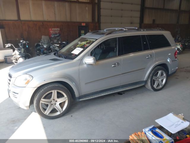 2010 MERCEDES-BENZ GL 550 4JGBF8GE0AA601066 Photo 1