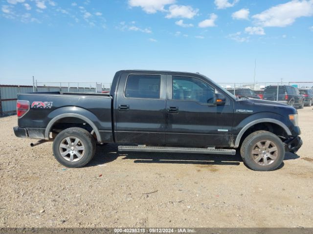 1FTFW1ET6EKE38549 Ford F-150 Fx4