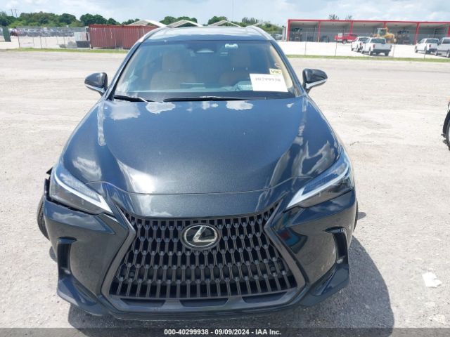 JTJGDCAZ3R5022282 Lexus Nx 250 Premium