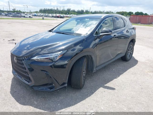 JTJGDCAZ3R5022282 Lexus Nx 250 Premium