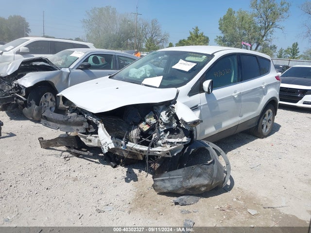 Ford ESCAPE SE 2014 1FMCU9GX7EUC05934 Image 2