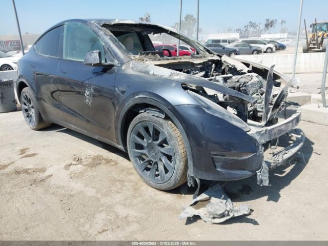 2024 TESLA MODEL Y 7SAYGDEE0RA243073