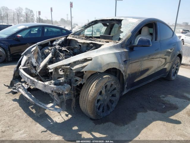 2024 TESLA MODEL Y 7SAYGDEE0RA243073 Photo 1
