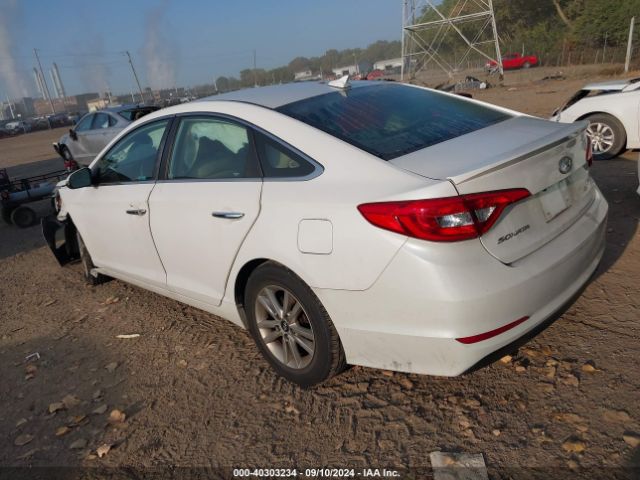 5NPE24AA0FH129639 Hyundai SONATA ECO