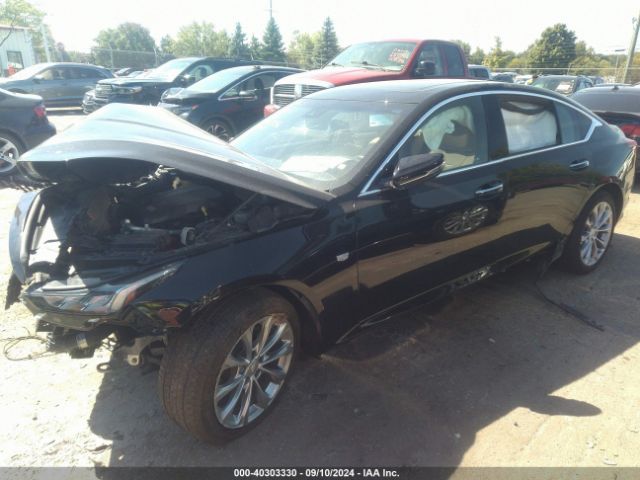 1G6DT5RK0N0113256 Cadillac Ct5 Premium Luxury