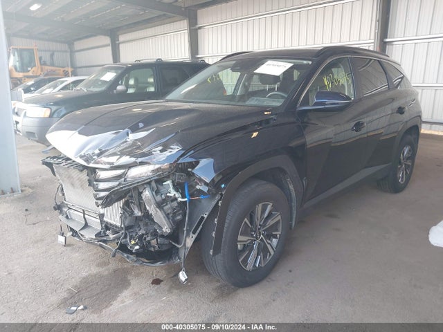 KM8JBCA17PU127527 Hyundai Tucson Hybrid Blue