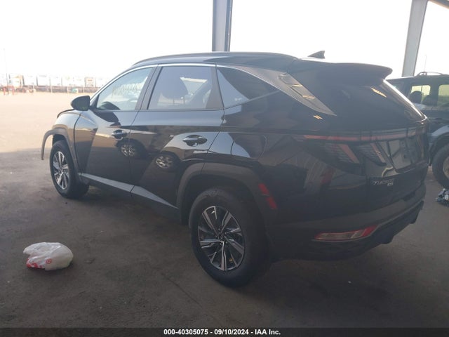 KM8JBCA17PU127527 Hyundai Tucson Hybrid Blue