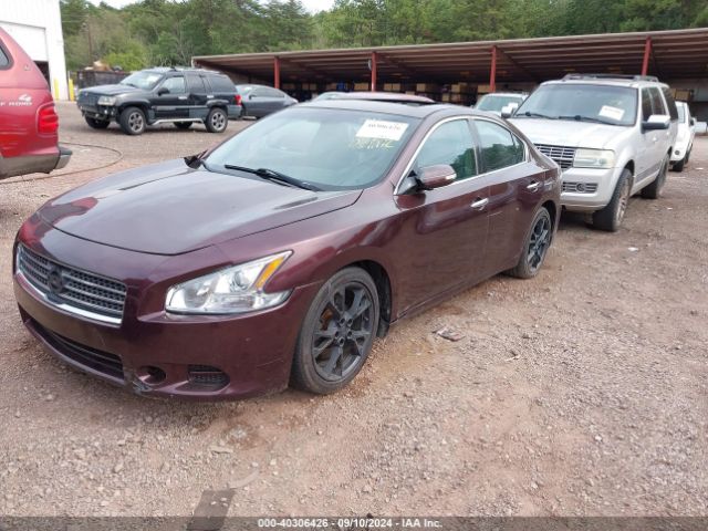 1N4AA5AP6EC442917 Nissan Maxima 3.5 Sv