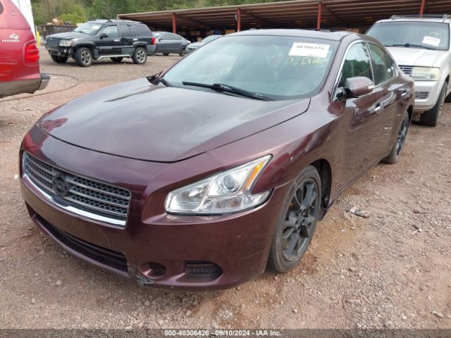 1N4AA5AP6EC442917 Nissan Maxima 3.5 Sv