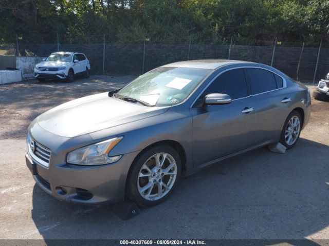 1N4AA5AP3EC906892 Nissan Maxima 3.5 Sv
