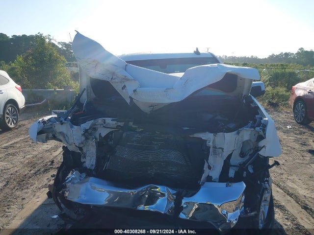 Chevrolet Silverado 1500 Lt 2019 1GCRWCED2KZ410817 Image 11