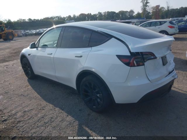2023 TESLA MODEL Y 7SAYGAEEXPF831514 Photo 2