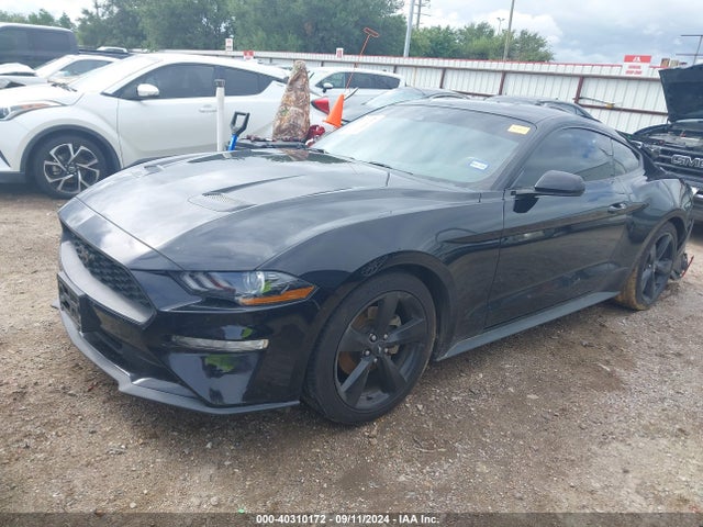 Ford Mustang Ecoboost Fastback 2021 1FA6P8TH2M5105451 Image 2