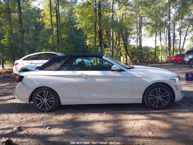 WBA2M7C00L7D89784 BMW 230I