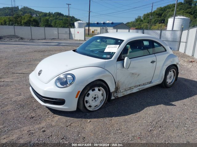 3VWF17AT6GM633728 Volkswagen Beetle 1.8t Classic