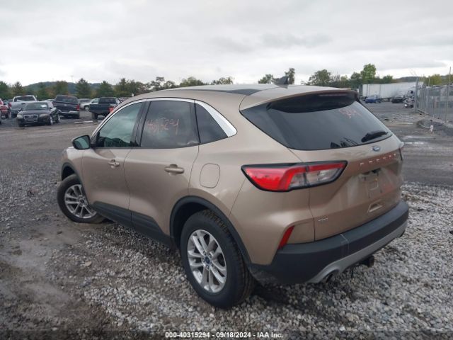 2020 FORD ESCAPE 1FMCU9G61LUB62065 Photo 2