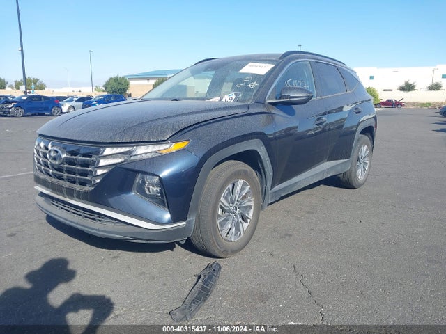 KM8JBCA10NU075896 Hyundai Tucson Hybrid Blue
