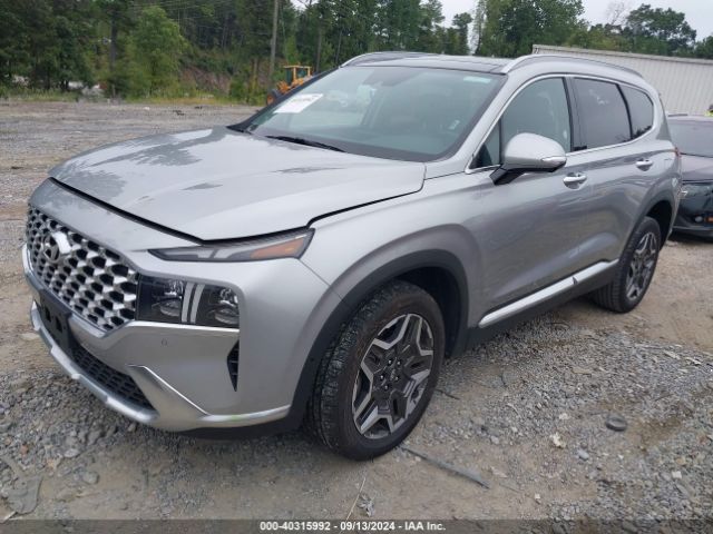 5NMS4DAL1PH526242 Hyundai Santa Fe Limited