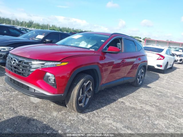 5NMJBCDE5RH423966 Hyundai TUCSON SEL
