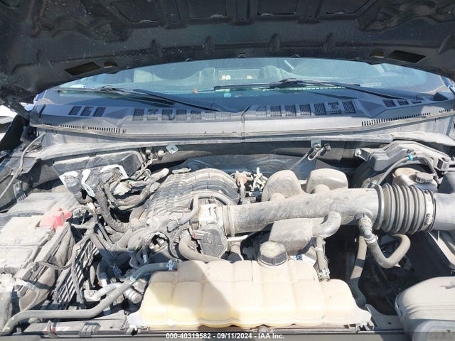 1FTEX1EB9KKC09133 Ford F-150 Xl