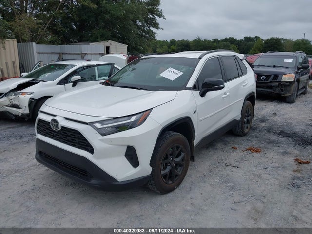 Toyota Rav4 Xle 2024 2T3P1RFV6RC399428 Image 2