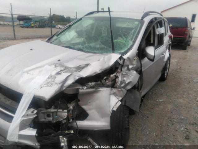 1FMCU9GX9FUA98127 Ford ESCAPE SE