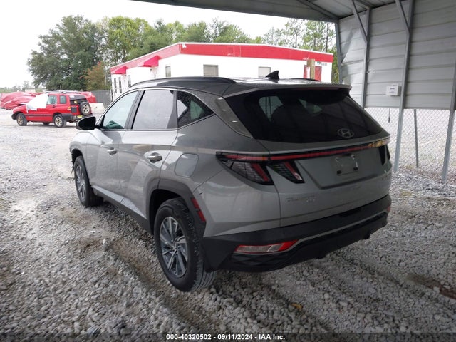 KM8JBCA1XPU103299 Hyundai Tucson Hybrid Blue